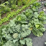 Casa Vacacional Retiro Rural En El Camino The Land Of Eve Σπίτι διακοπών