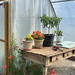 Σπίτι διακοπών Casa Vacacional Retiro Rural En El Camino The Land Of Eve *