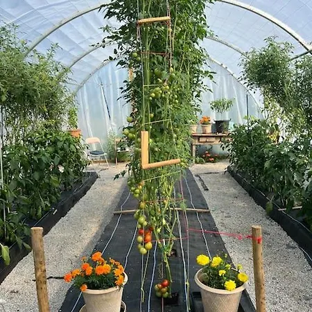 Casa Ecologica The Land Of Eve Escape Rural