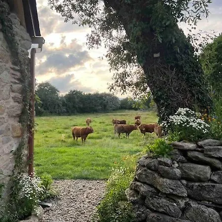 Casa Vacacional Retiro Rural En El Camino The Land Of Eve *