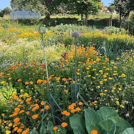 Casa Ecologica The Land Of Eve Escape Rural Friol